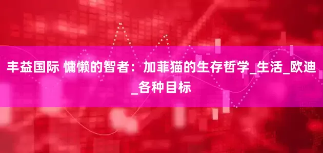 丰益国际 慵懒的智者：加菲猫的生存哲学_生活_欧迪_各种目标