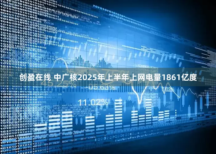 创盈在线 中广核2025年上半年上网电量1861亿度