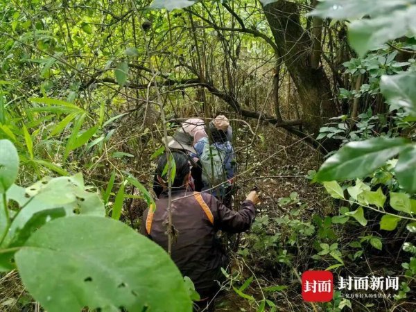 长宏策略 8岁男童遇难后，大理孤独症“自然疗愈”未停